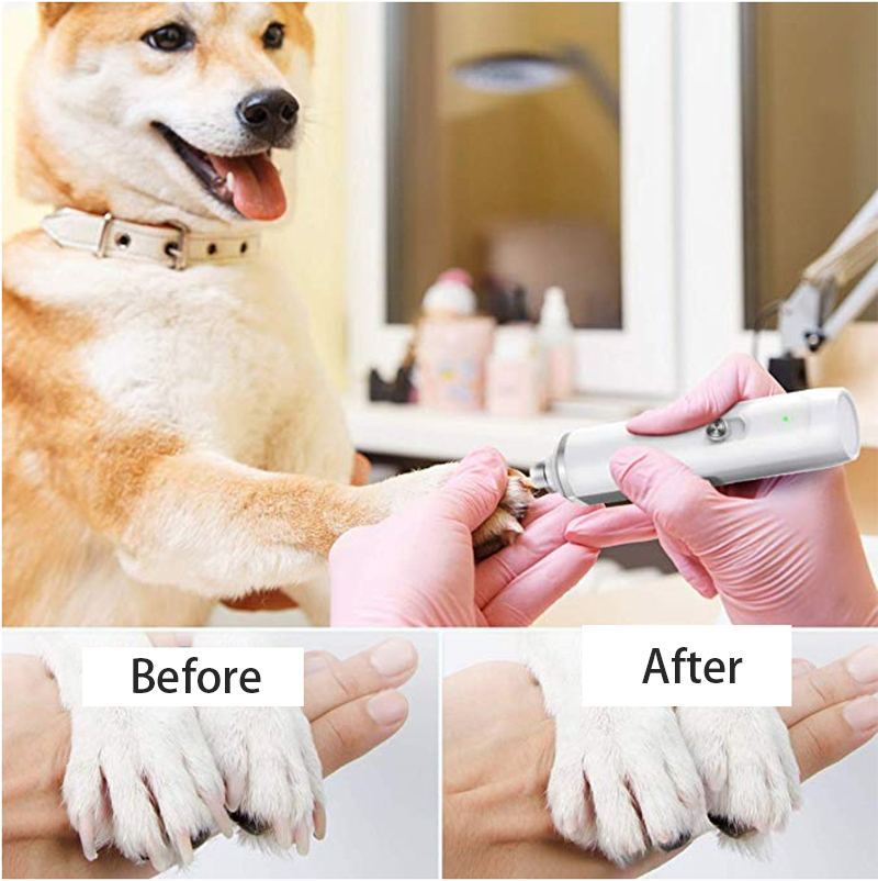 best dog nail polisher