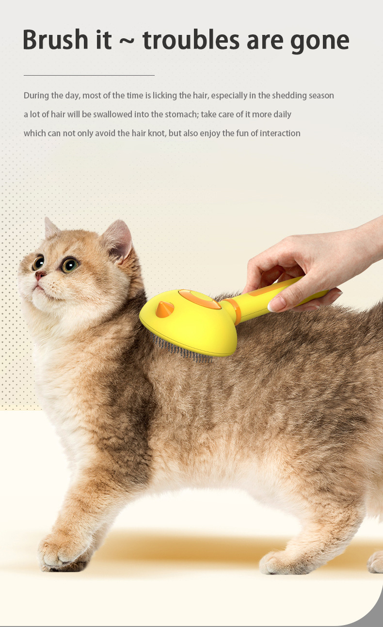 best cat brush