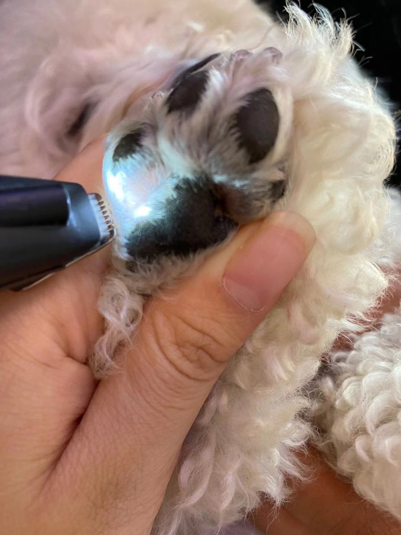 dog paw hair trimmer
