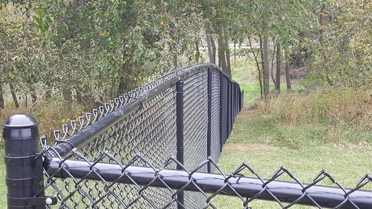 chain link fence for garden