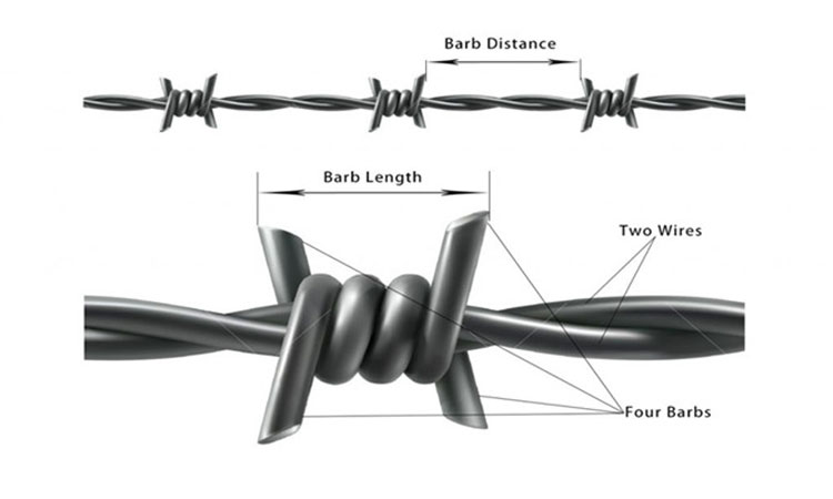 barbed wire