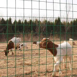 welede wire mesh for farm