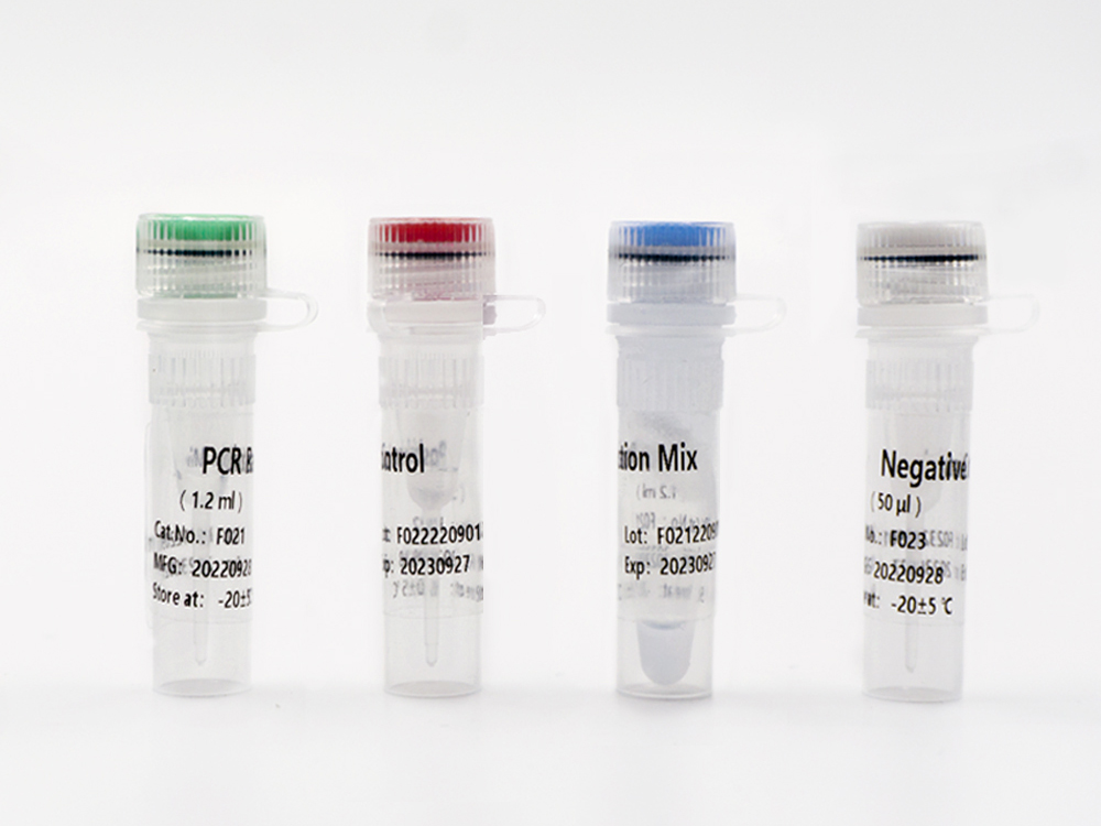  TAGMe DNA Methylation Detection Kits(qPCR) for Cervical Cancer