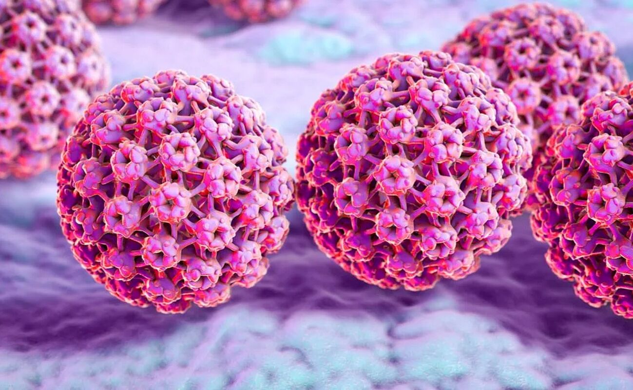 HPV blood test not effective for cervical cancer screening - Healthcanal.com