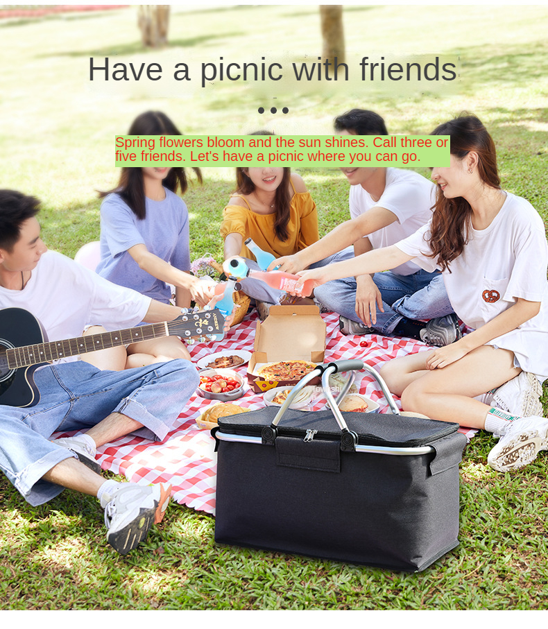 picnic bag 67