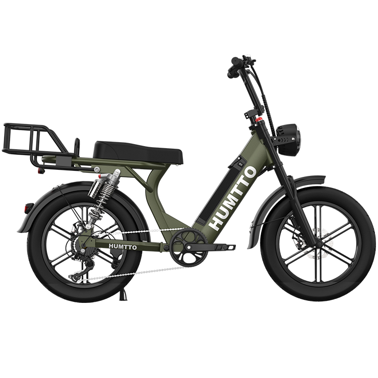  Cool Designed 500W 750W 20 inch fat tire Low Step powered 48V 12AH Lithium Battery retro city electric bicycle