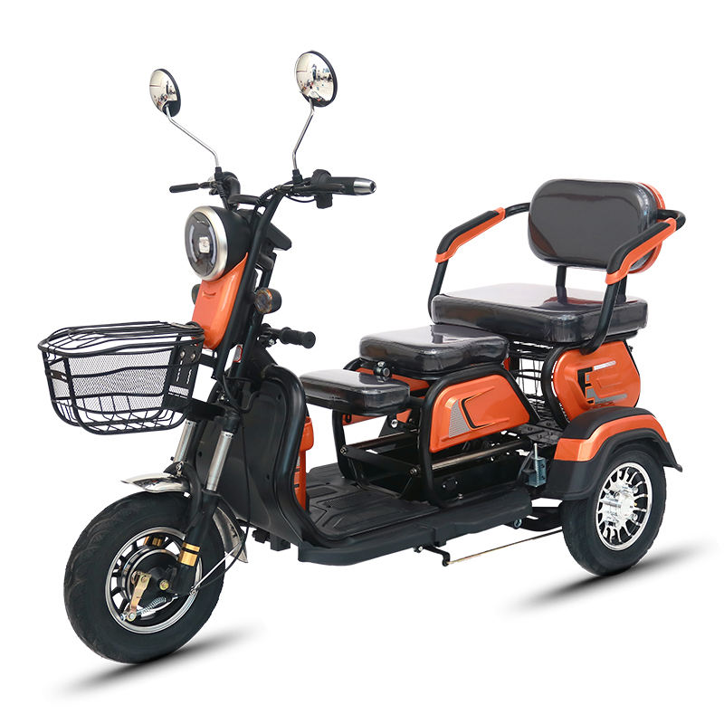 FULIKE Hot Sale Factory Wholesale Adult 3 Wheel 600W Electric Tricycle Trike Made In China