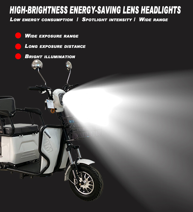 Electric Tricycle Cargo (7)