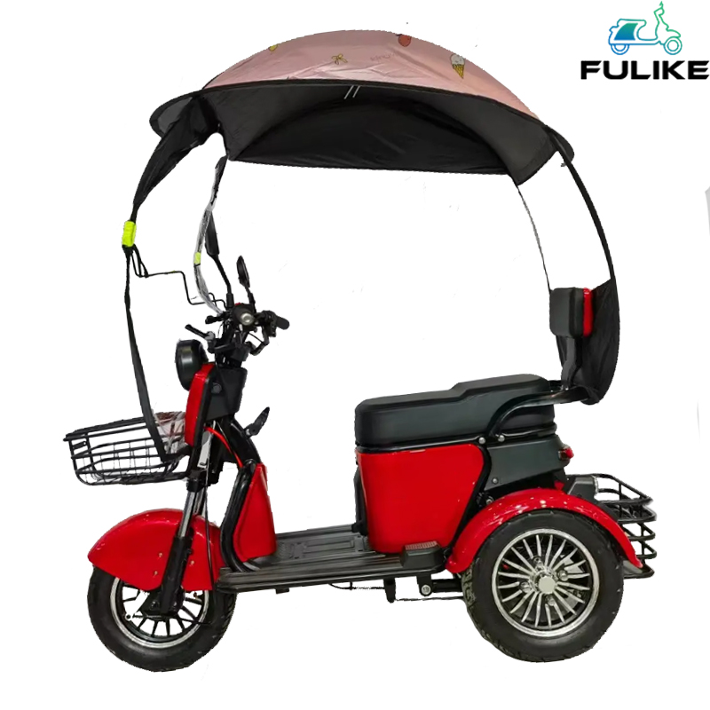 High Quality 3 Wheel Electric Trike Suitable for Elderly Person 3 Wheel Electric Scooter Tricycle With Roof 