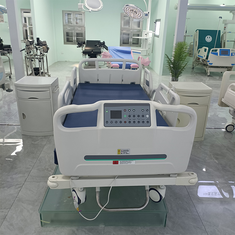 Wholesale DB-008 ABS Multifunctional Electric Crank Hospital Nursing Bed