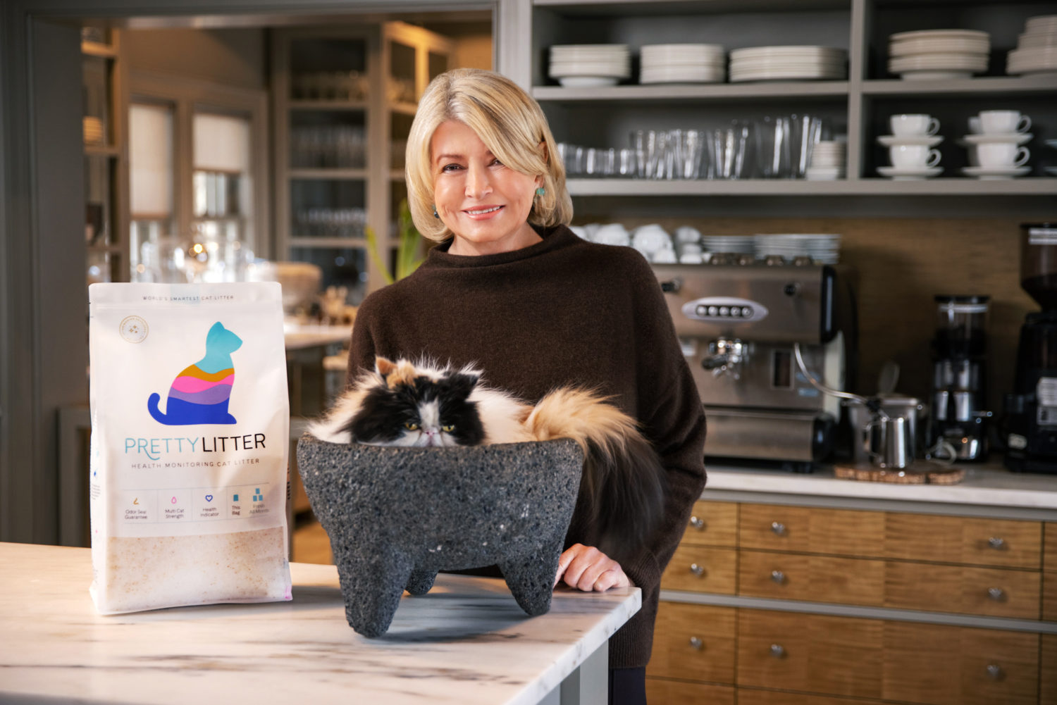 What is The Best Cat Litter? What to Look for in Your Kitty Litter Brand