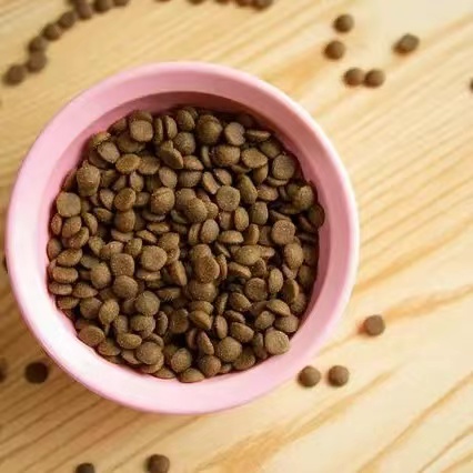   Cat Food Selection Guide Required for Cat Breeds