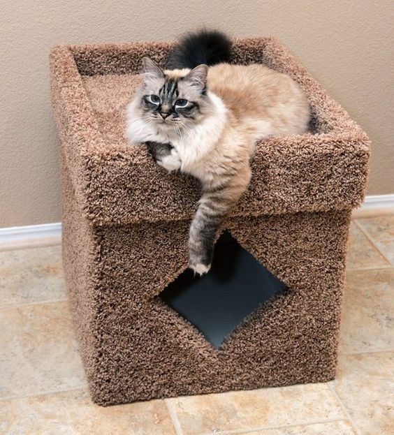 New Kitty Litter Pads Compatible with Box System for Easy Training