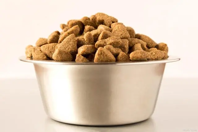 How to choose the most suitable dog food for your pet dog