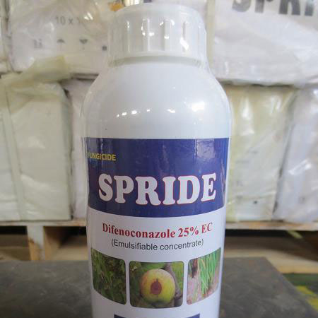 Highly Effective Pymetrozine 97% TC for Pest Control