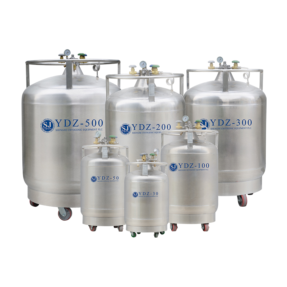 Cryogenic Storage: Key Factors and Considerations for Effective Storage