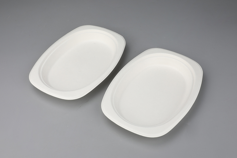 9"×6" Rectangular Oval Plate Environmental Degradable Bagasse Tableware 