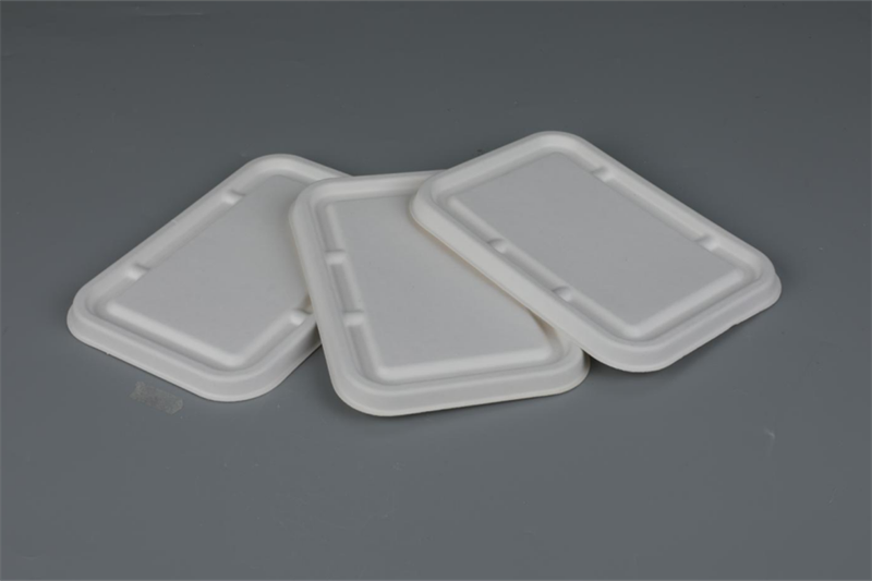 Lids of 500/650/750ml Rectangular Containers Biodegradable Bagasse Tableware 