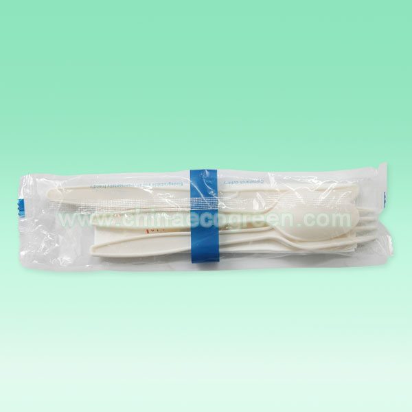 8 Year Exporter
 Biodegradable disposable cutlery set 5 in 1 to Denver Manufacturers - China Ecogreen International