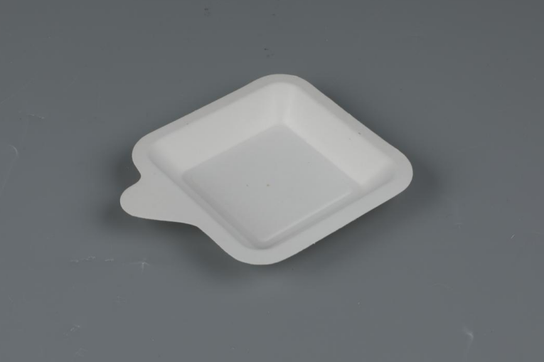 Square/Rectangular Cake Tray Biodegradable Bagasse Tableware