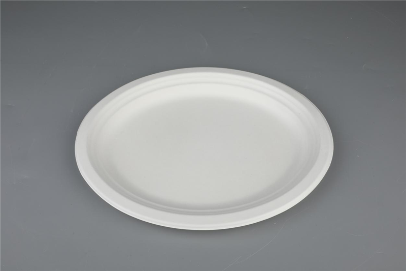 10"/12" Oval Plates Environmental Protection Biodegradable Bagasse Tableware  