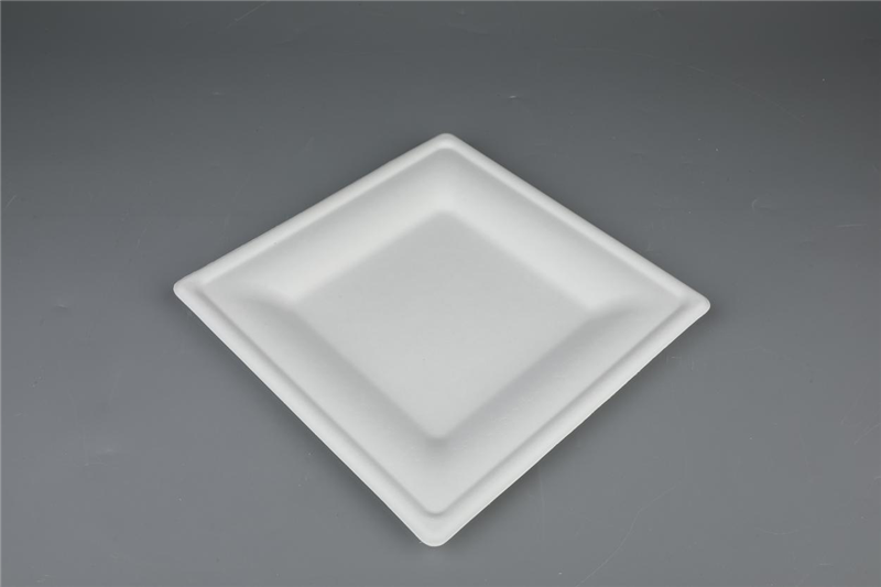 6"/10" Square Plates Biodegradable Compostable Bagasse Tableware 