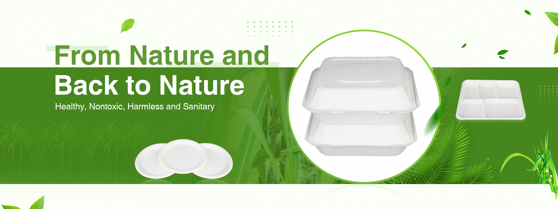 Disposable Bowls, Eco Friendly Plate, Sugarcane Tableware - Hongsheng