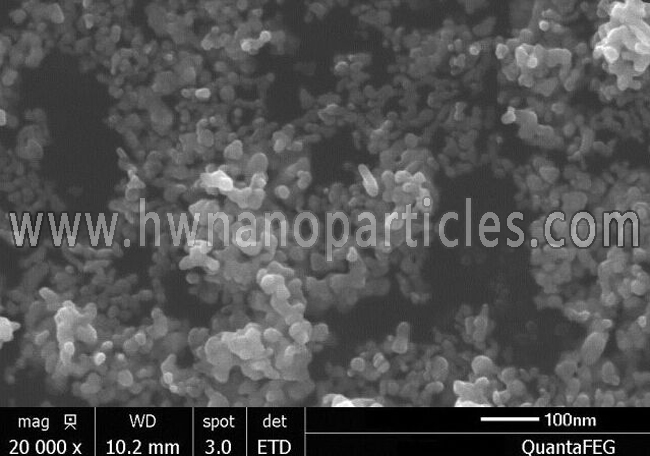 SEM- Platinum nano dispersion