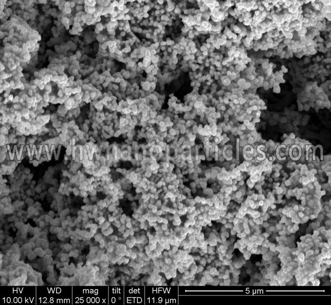 SEM Ruthenium nanoparticle