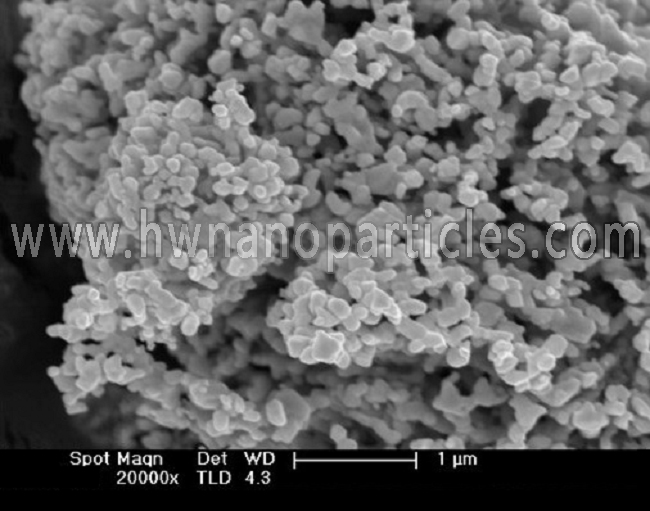 SEM-80-100nm WC nanoparticles