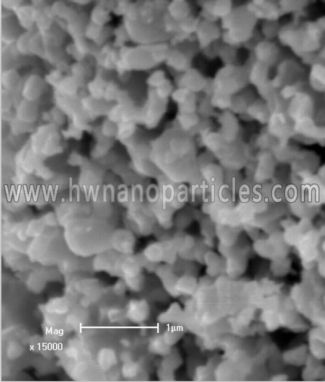 SEM-WC-Co Nanoparticle