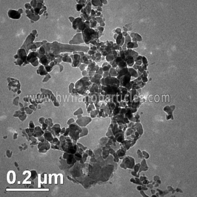 SEM-TiO2-anatase 30-50nm