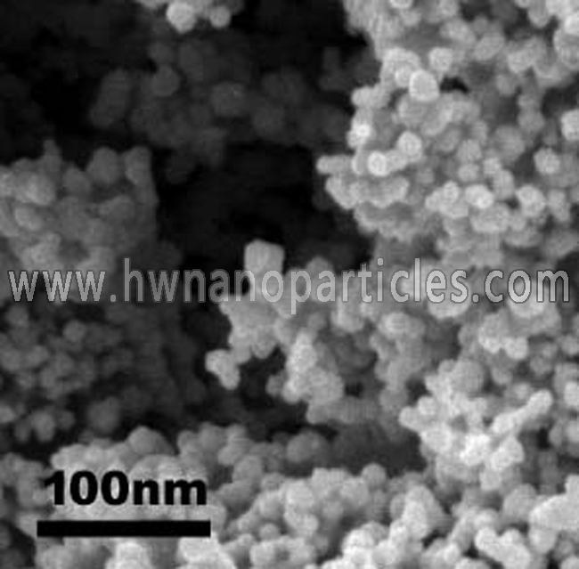 SEM Palladium nanoparticle