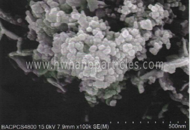 SEM-Bi2O3 nanoparticles