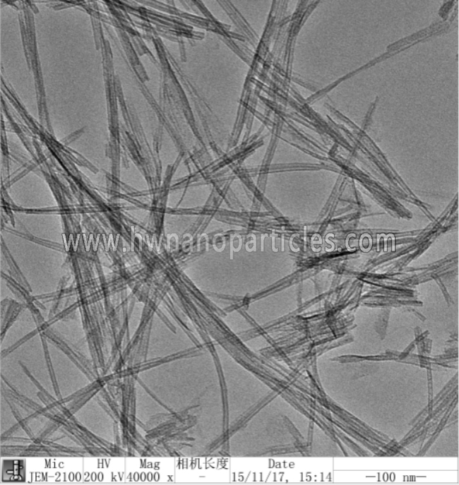 SEM-TiO2 nanotubes