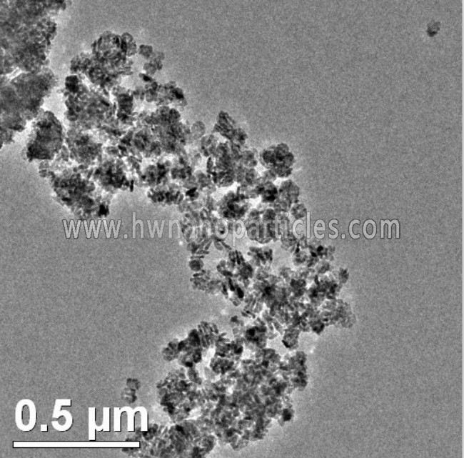 SEM-MgO nanoparticles
