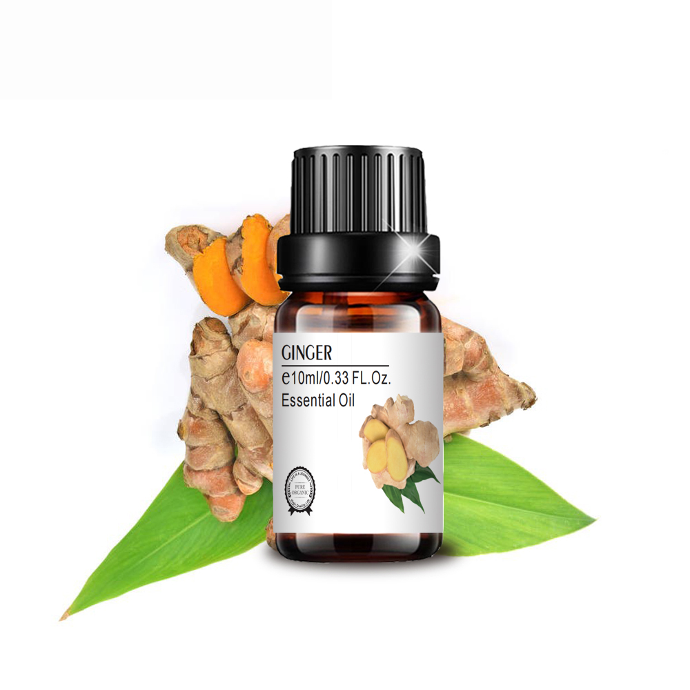 hot selling ginger essential oil for hair care 10ml ginger oil