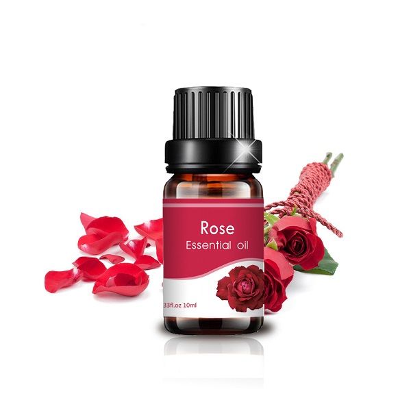 queen of essential oils rose oil hot selling