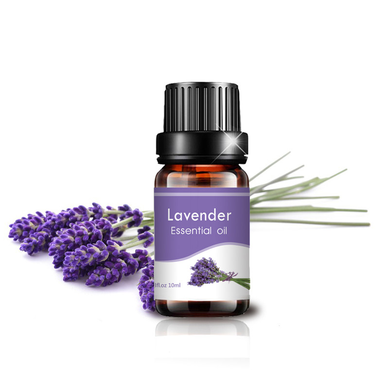 100% pure and natural organic private label lavender essential oil for massage skincare