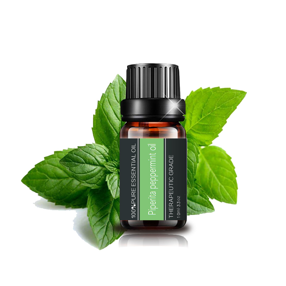 Organic Mentha Piperita Oil Mint Oil Bulk Peppermint oil