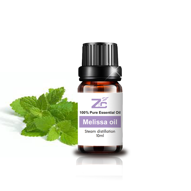 Premium Quality Melissa officinalis essential oil bulk for sale