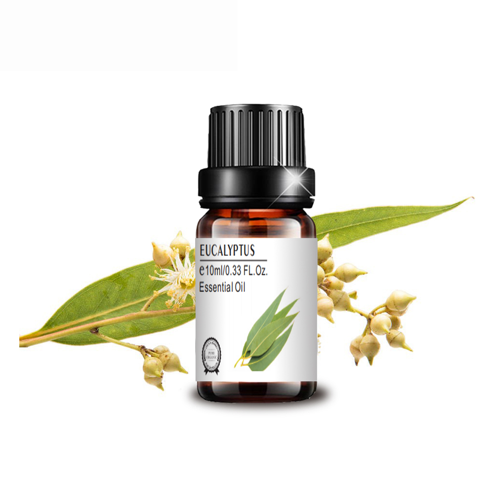 10ml pure natural private label therapeutic grade factory supply eucalyptus oil