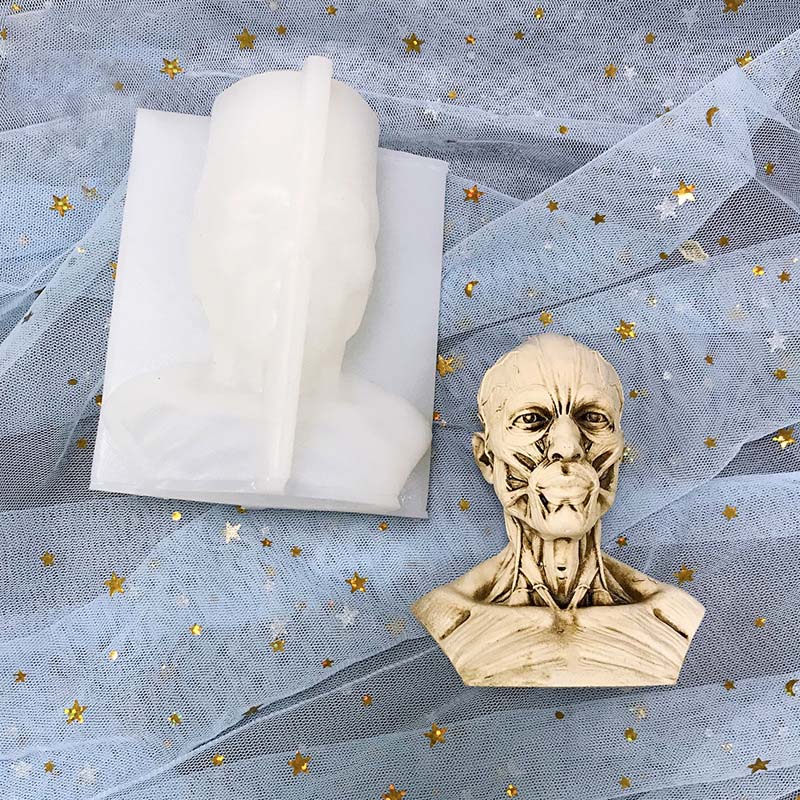 J1112  DIY Plaster Art Sketch Human Skeleton Skull Specimen Mould Muscle Human Head Silicone Mold