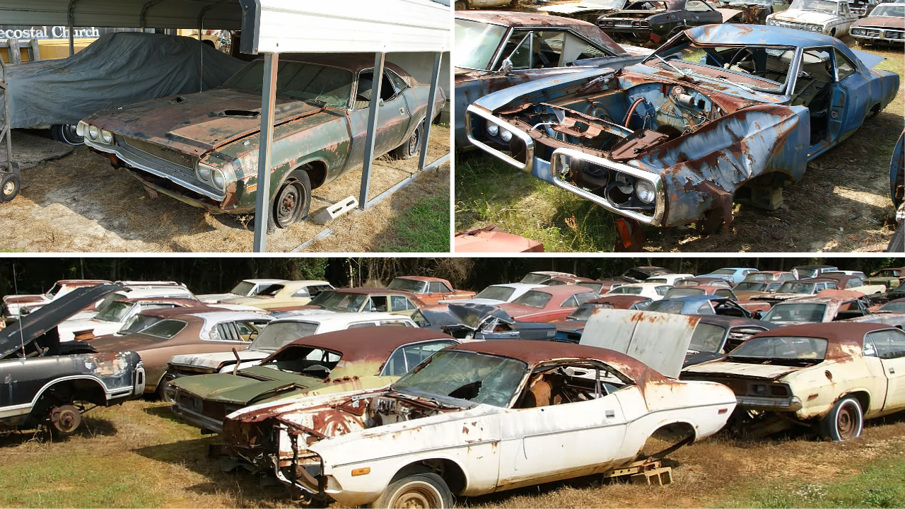 Michigan Junkyard Turns Up Some Buried Muscle Car Treasure