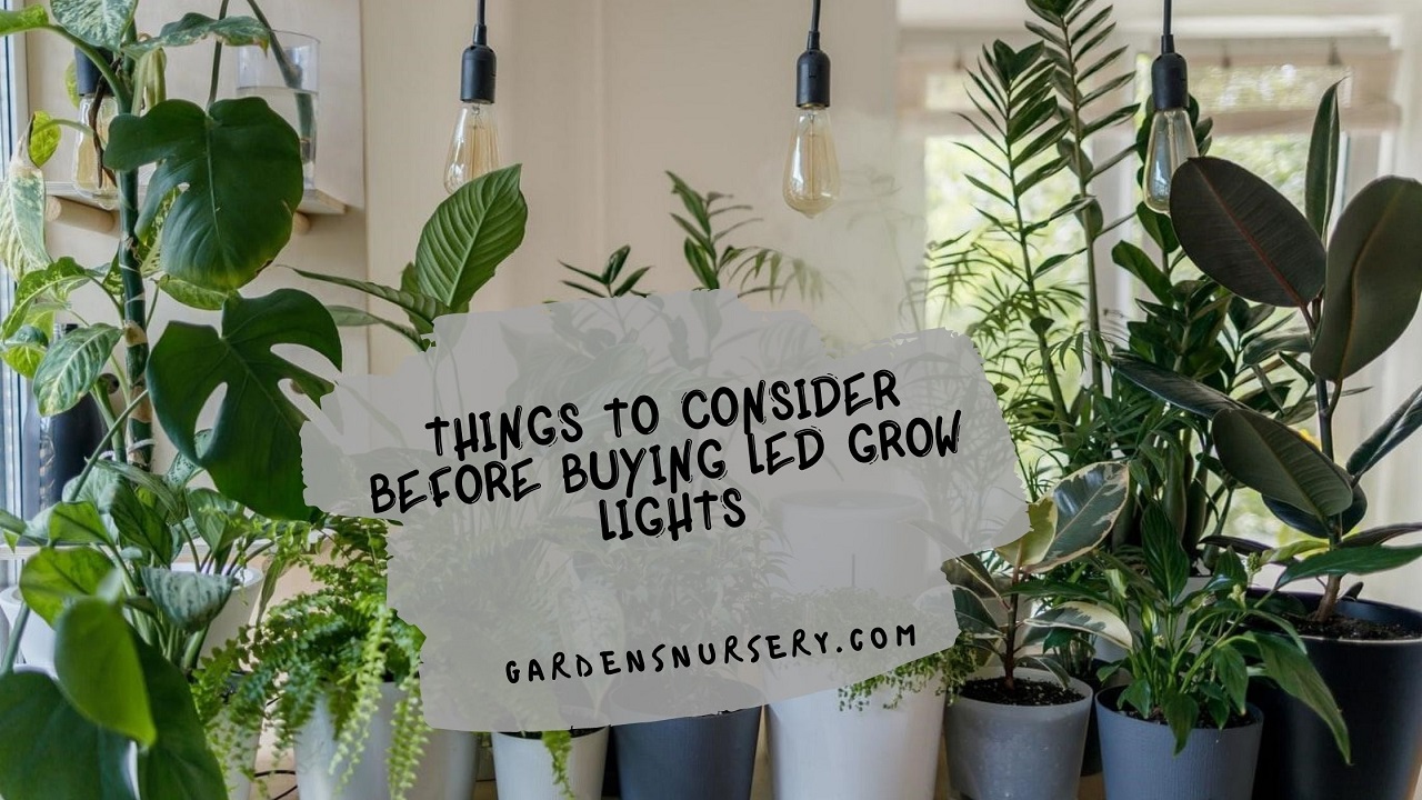LedGrowLights.com - Before Buying LED Grow Lights  Looking for the Best