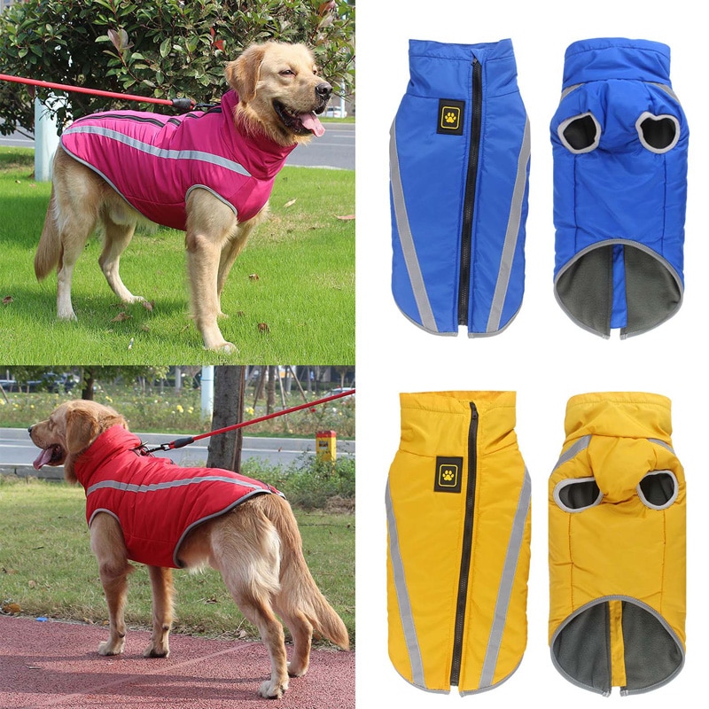 Custom Dog Clothes Tips For Wholesale Pet Clothes From Nice Pet