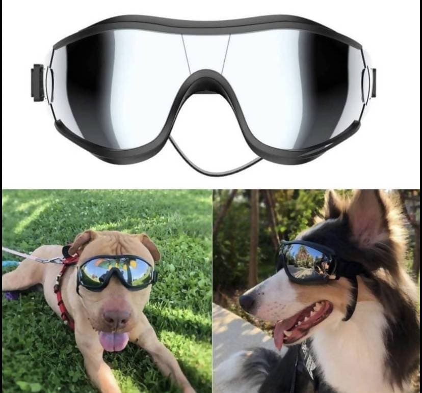 Cool Dog Goggles - UV Protection for Medium and Large Dogs - Waterproof and Adjustable - $37.46: Keep your pet's eyes protected from UV rays with these cool dog goggles. The adjustable width makes them suitable for medium and large dogs, and they come with an adjustable belt for a secure fit. Perfect for walks on the beach, these goggles also provide protection from wind and water. Enjoy quick delivery times and make your furry friend stand out with these eye-catching sunglasses.