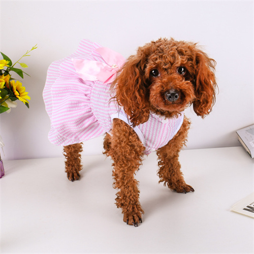 Dog Clothes Manufacturer Striped Dog t Shirts With Bow For Summer