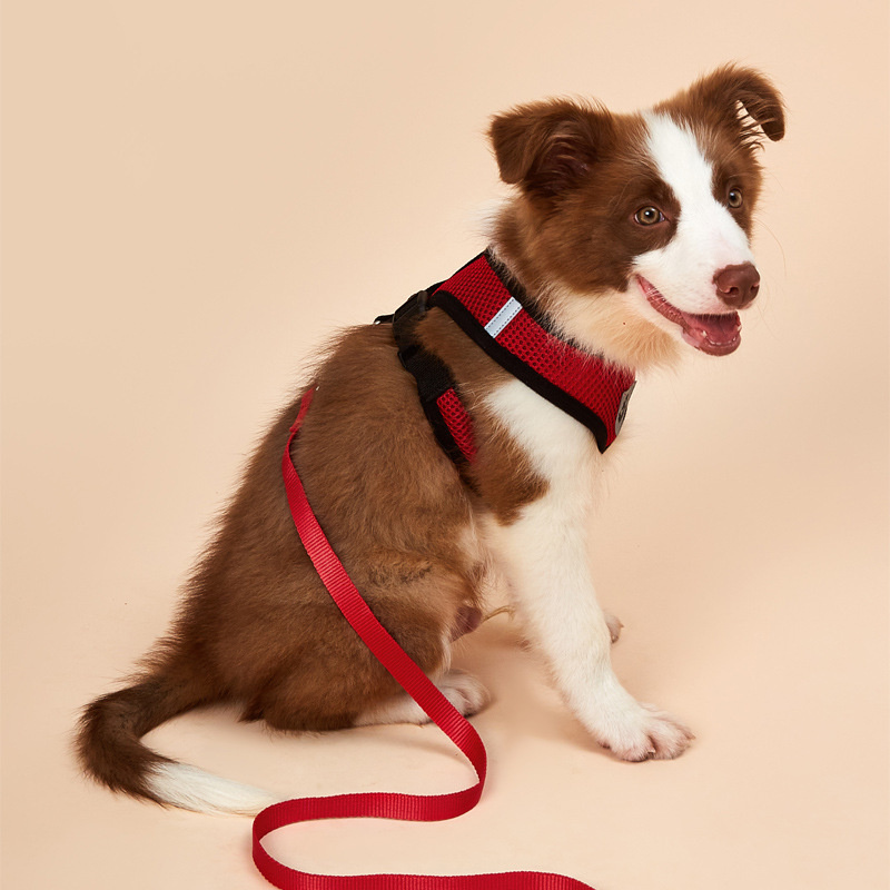 Wholesale Dog Leads And Collars Dog Harness And Leash Set