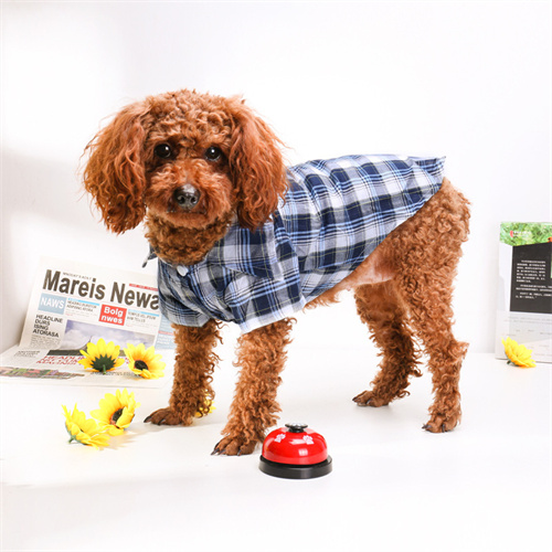 Dog Clothes Distributor Trendy Dog Coats For Fall